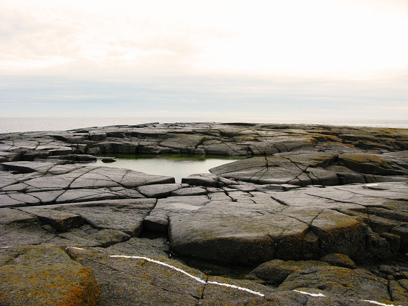 Маркет Риф OJ0S Маркет Риф OJ0S