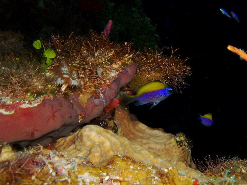 Mayaguana Island C6AUX Tourist attractions Mayaguana Island C6AUX Tourist attractions