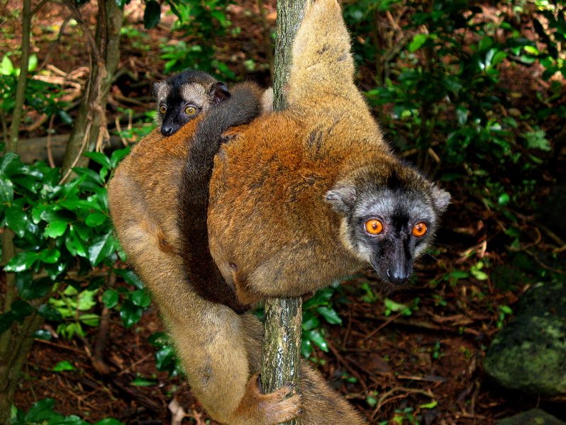Mayotte Island TX6A Tourist attractions spot Mayotte Island TX6A Tourist attractions spot