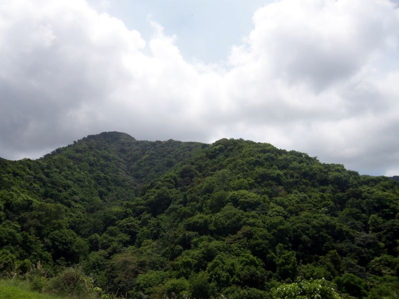 Montserrat Island VP2MRF 