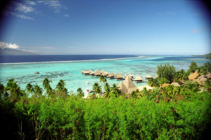 Moorea Island FO/NH6XO French Polynesia