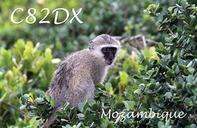 Mozambique C82DX QSL Mozambique C82DX QSL