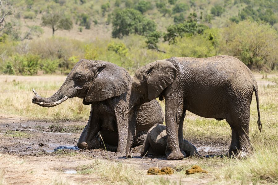 Namibia IARU 2015 DX News Namibia IARU 2015 DX News