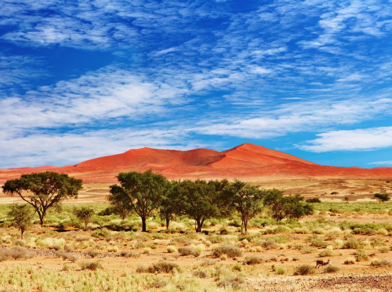 Namibia IARU 2015 Namibia IARU 2015