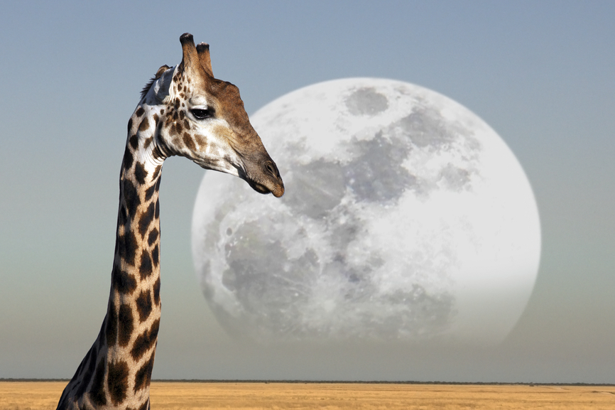 Namibia V5/DM4TK Tourist attractions Namibia V5/DM4TK Tourist attractions