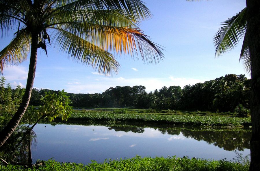 Nauru C21DA DX News Freshwater Lake.  Nauru C21DA DX News Freshwater Lake.