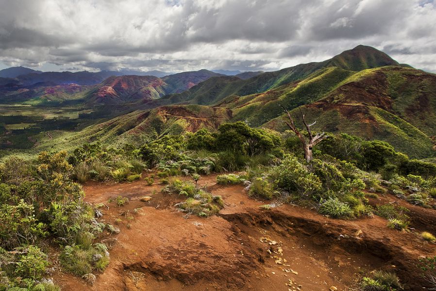 Новая Каледония TX8C DX Новости Новая Каледония TX8C DX Новости