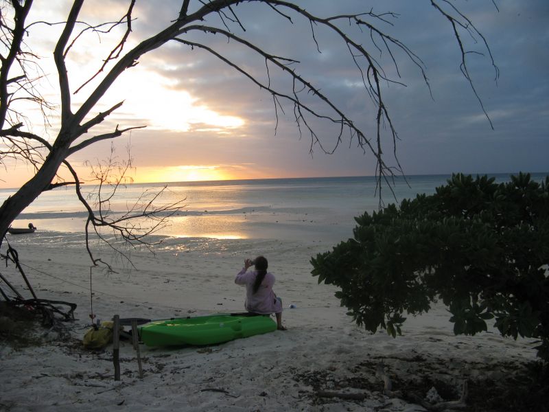 North West Island Capricornia Cay VK9NW DX News North West Island Capricornia Cay VK9NW DX News