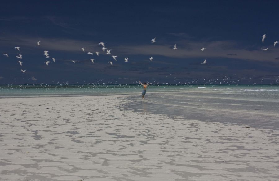 Nosy Be Island Madagascar 5R8BC