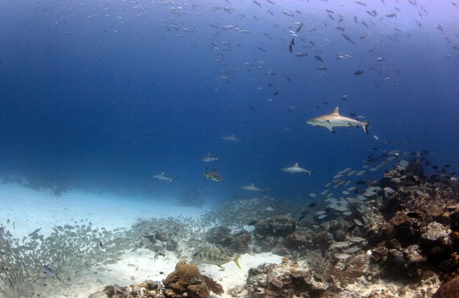 Palau T88QB Tourist attractions