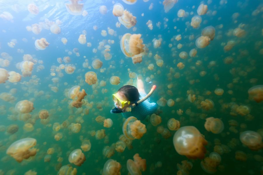 Palau T88RY Tourist attractions spot Palau T88RY Tourist attractions spot