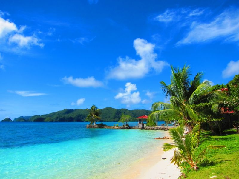 Palau T88YD DX News Palau T88YD DX News