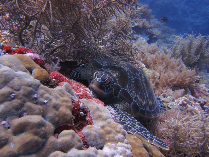 Palau T88YD Tourist attractions Palau T88YD Tourist attractions