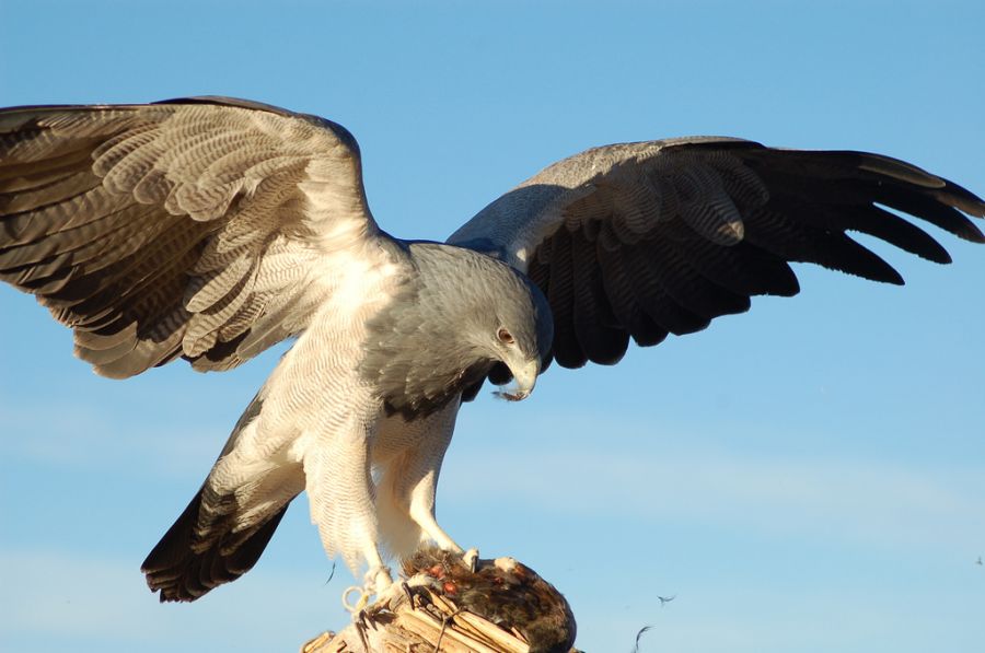 Peru OA7/DL1CW Tourist attractions spot