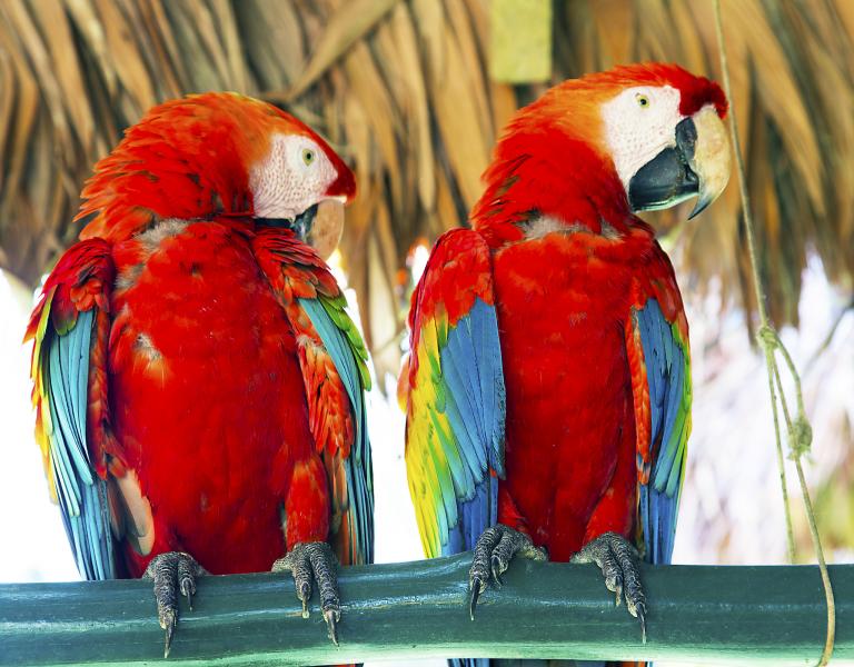 Peru OA7/DL2RMC Tourist attractions spot Peru OA7/DL2RMC Tourist attractions spot