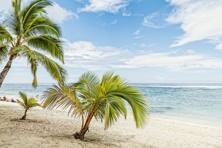 Rarotonga Island E51J DX News