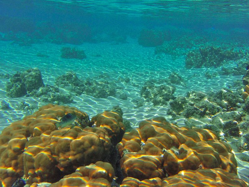 Rarotonga Island E51MRC DX News 