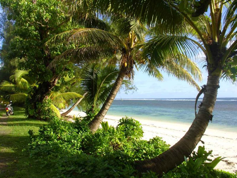 Rarotonga Island E51J