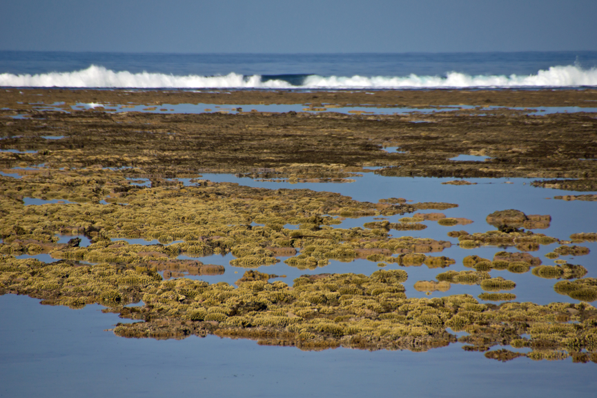 Остров Реюньон FR/F5HIJ  Остров Реюньон FR/F5HIJ