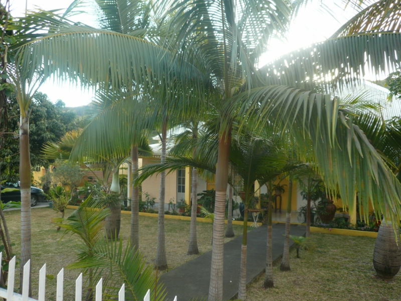 Остров Реюньон FR/DG5AA Туристические достопримечательности  Остров Реюньон FR/DG5AA Туристические достопримечательности