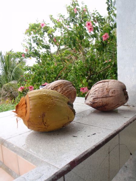 Rota Island NH0/DL2AH DX News Rota Island NH0/DL2AH DX News