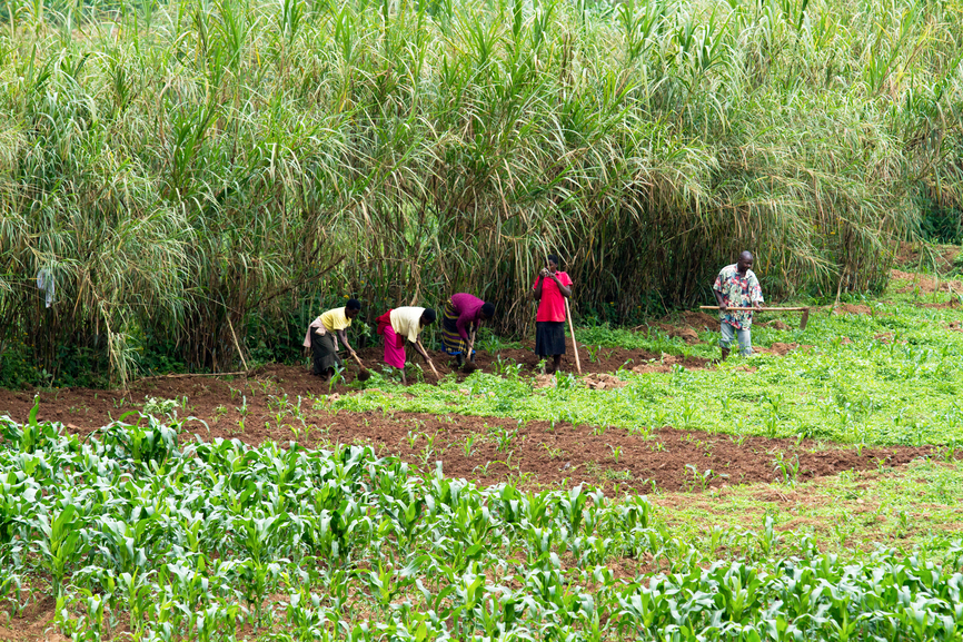 Rwanda 9X0WA DX News Rwanda 9X0WA DX News