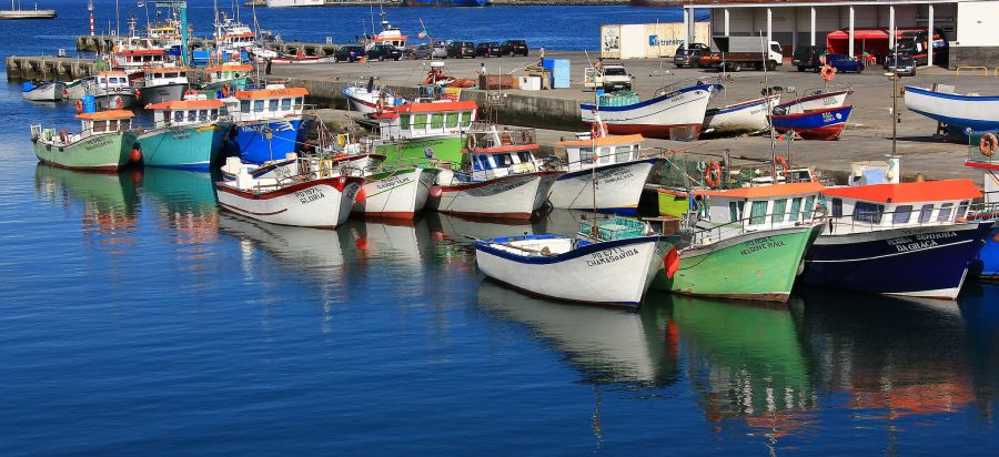 Остров Сан Мигел Азорские острова CT8/F5IRO Понто Делгада Остров Сан Мигел Азорские острова CT8/F5IRO Понто Делгада