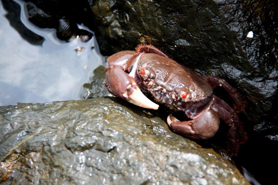 Sedanau Island Natuna Islands YB8RW/5 DX News Sedanau Island Natuna Islands YB8RW/5 DX News