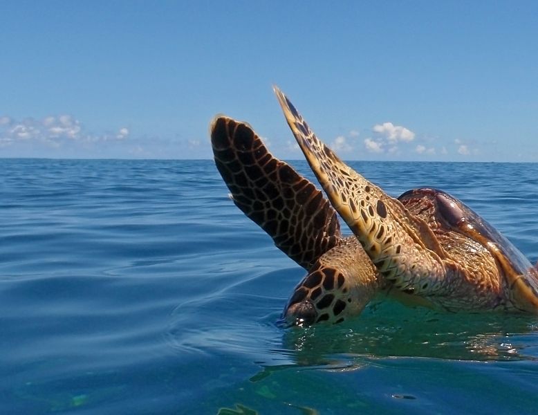 Seychelles S79HN Tourist attractions Seychelles S79HN Tourist attractions