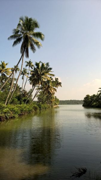 Sri Lanka 4S7ULG View Sri Lanka 4S7ULG View