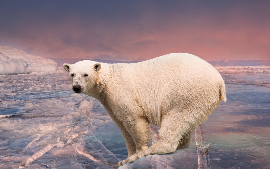 Svalbard JW/F8DVD Tourist attractions Svalbard JW/F8DVD Tourist attractions