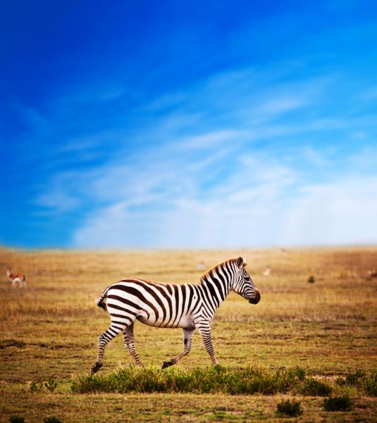 Танзания 5H3CP DX Новости Танзания 5H3CP DX Новости