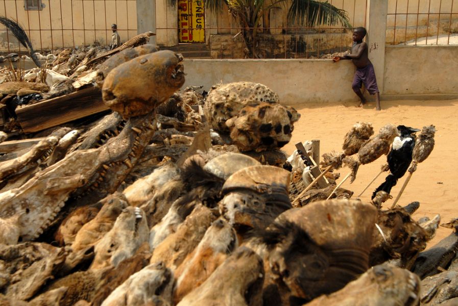 Togo 5V7BD 5V7JH Tourist attractions Togo 5V7BD 5V7JH Tourist attractions