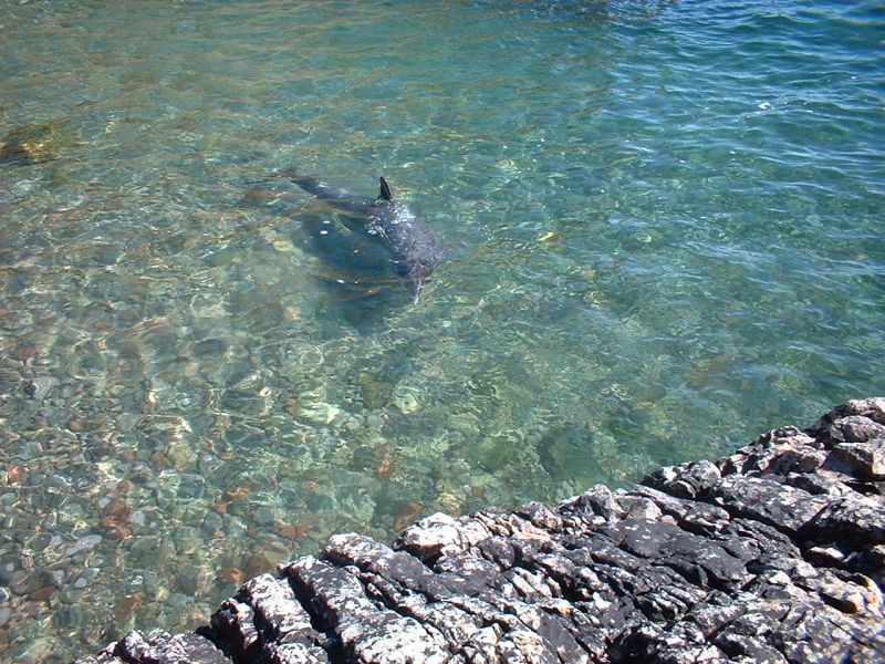 Tory Island EJ7NET Tourist attractions spot Tory Island EJ7NET Tourist attractions spot