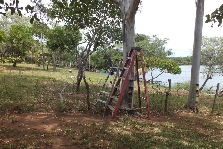 Две лестницы Мозамбик Две лестницы Мозамбик
