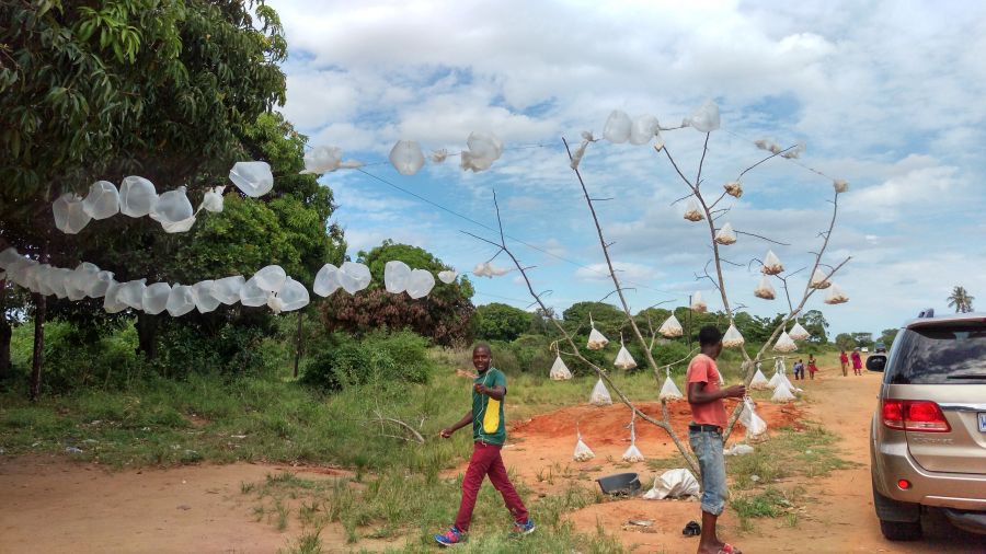 Мапуту Мозамбик Здесь продают орешки кешью  Мапуту Мозамбик Здесь продают орешки кешью