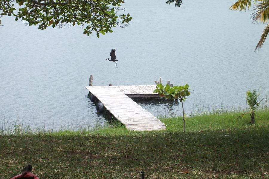 Мозамбик Наш причал и одна из птиц Мозамбик Наш причал и одна из птиц