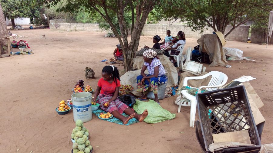 Мозамбик Неведомые фрукты. Мозамбик Неведомые фрукты.