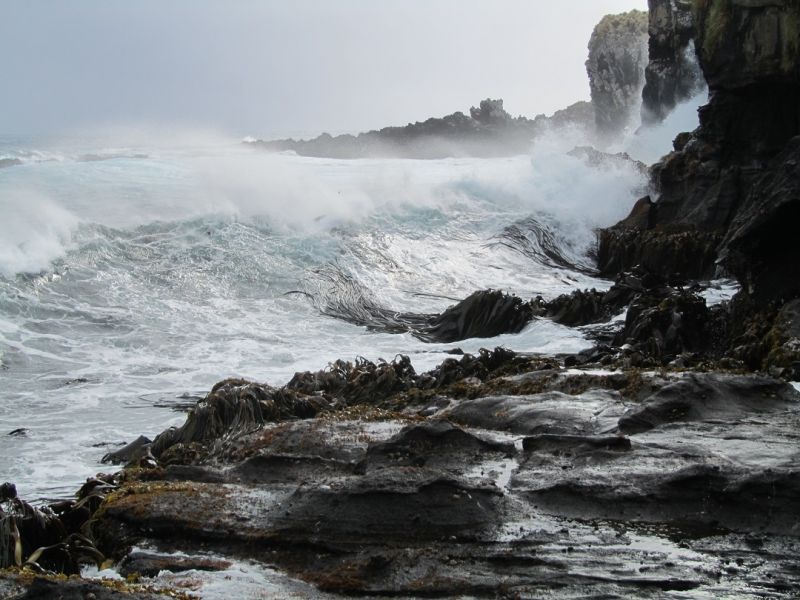 ZL9A - Antipodes Islands - Report