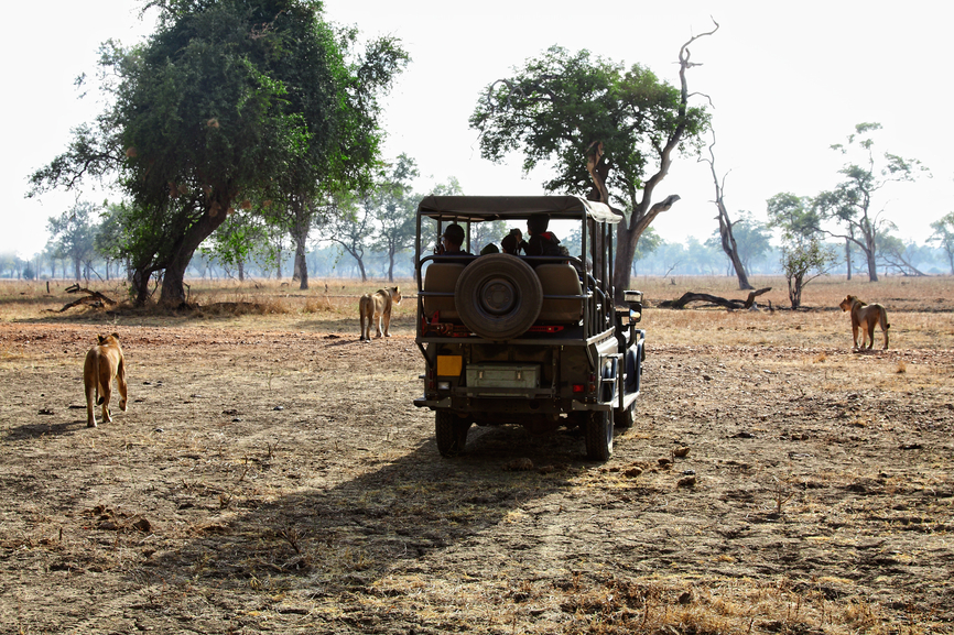 Zambia 9J2HN DX News Zambia 9J2HN DX News
