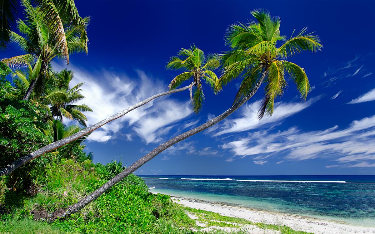 A31DL A31DK Tongatapu, Tonga DX News A31DL A31DK Tongatapu, Tonga DX News