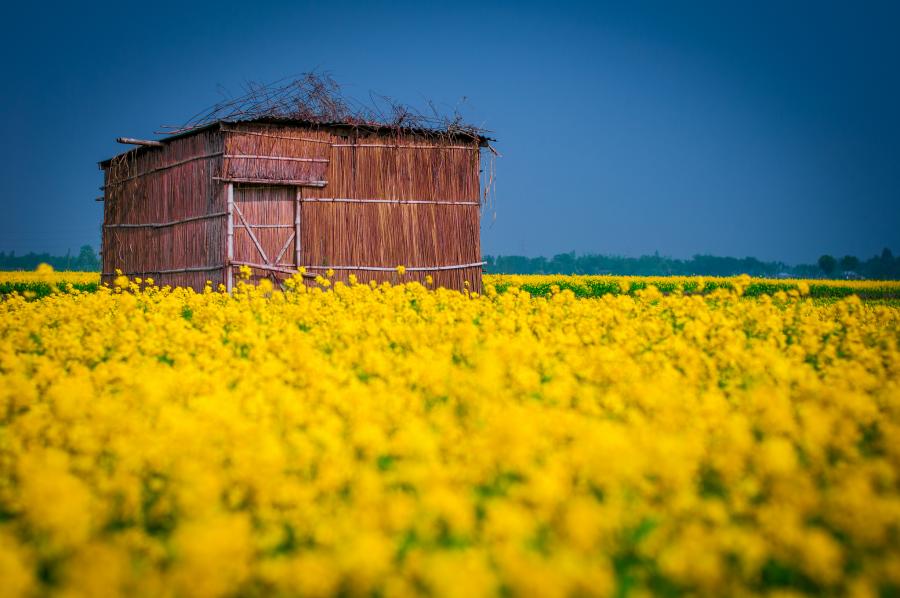 Bangladesh S21L Tourist attractions spot