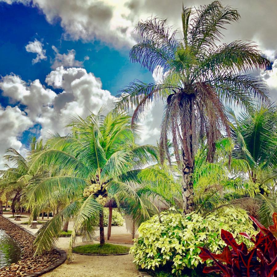 Природа Белиз Природа Белиз