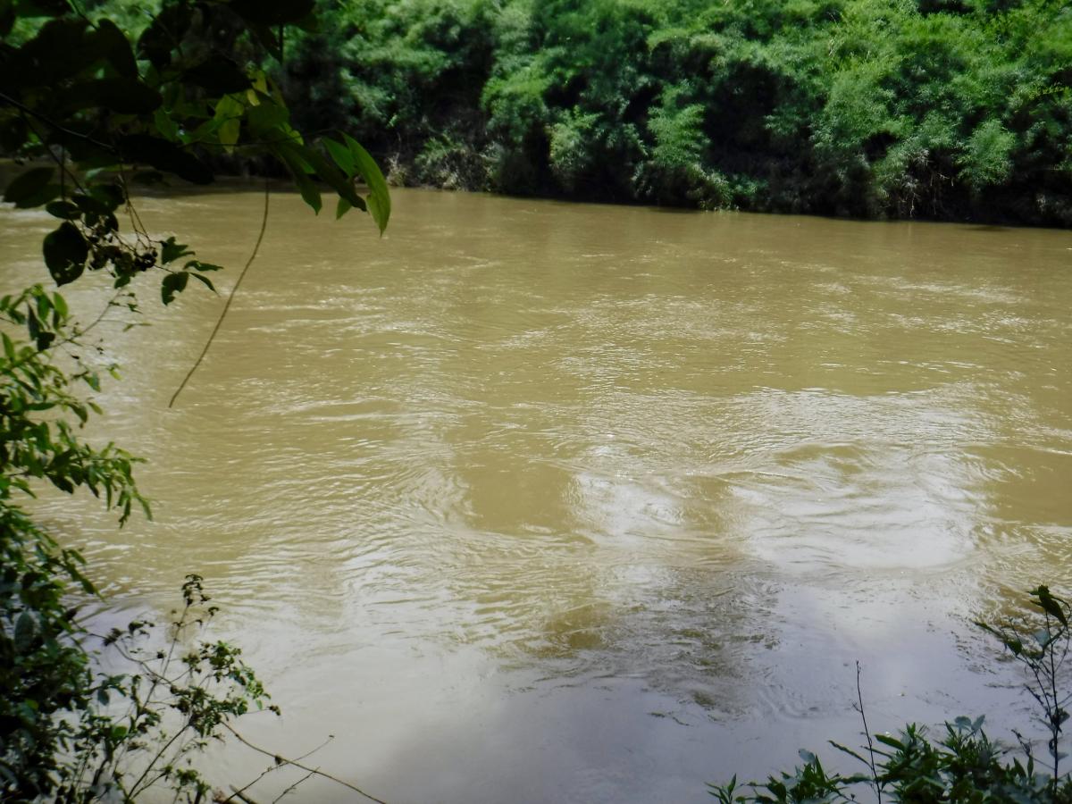 Река Белиз, Национальный парк Гуанакасте, Белиз Река Белиз, Национальный парк Гуанакасте, Белиз