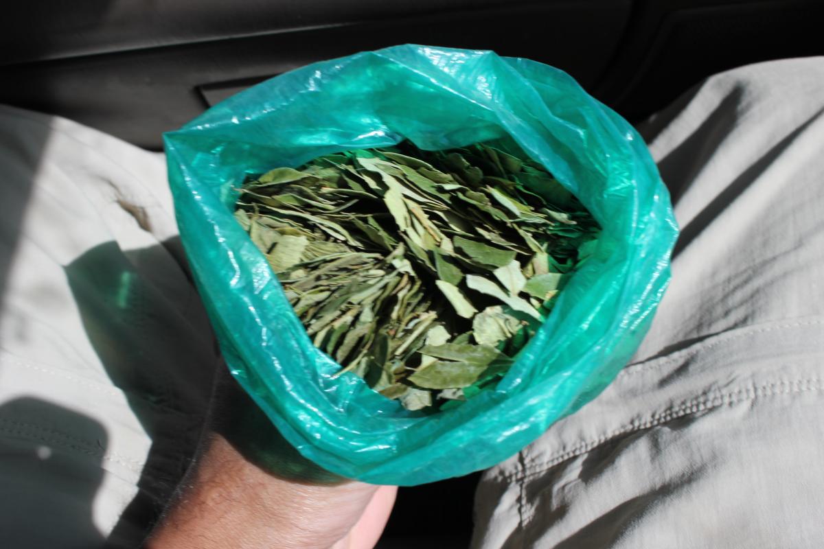 Кока, Боливия Кока, Боливия