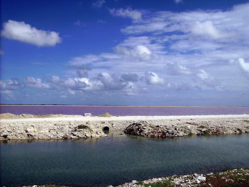 Bonaire Island PJ4/DJ2VO PJ4/DL3KMS DX News Bonaire Island PJ4/DJ2VO PJ4/DL3KMS DX News