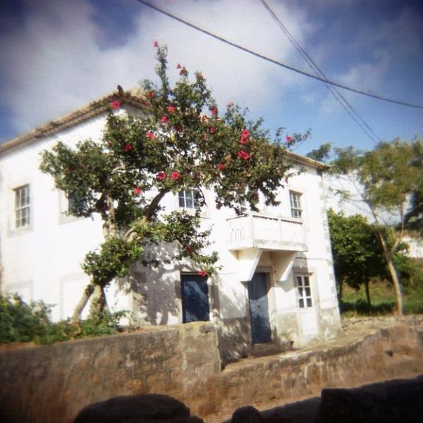 Brava Island Cape Verde Islands Cabo Verde D4E DX News Brava Island Cape Verde Islands Cabo Verde D4E DX News