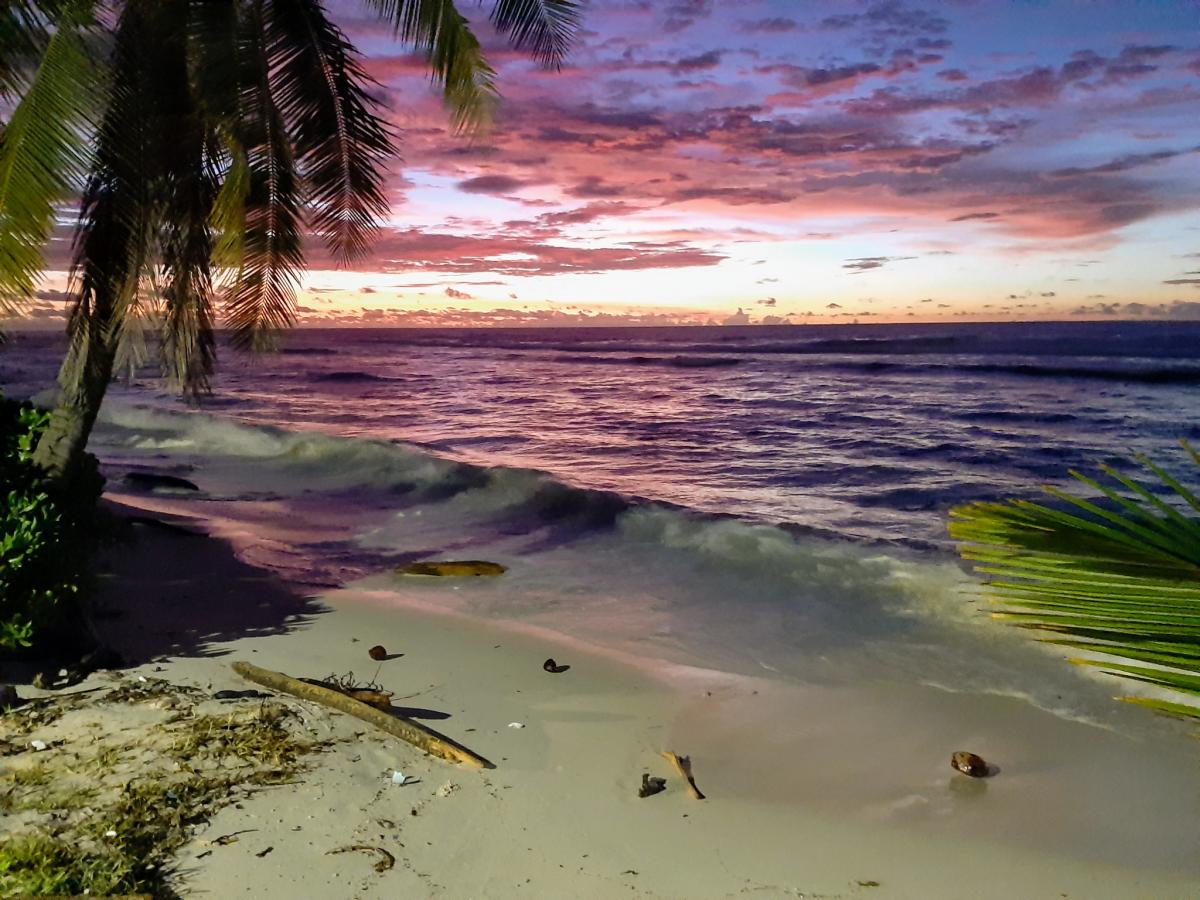 C21MB C21AA C21GW C21PF C21VA Nauru Island C21MB C21AA C21GW C21PF C21VA Nauru Island