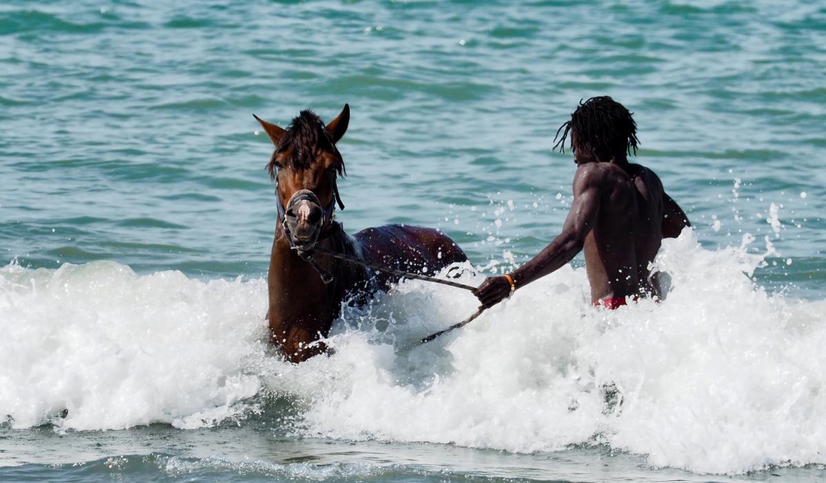 C5SP Gambia DX News 2019 C5SP Gambia DX News 2019