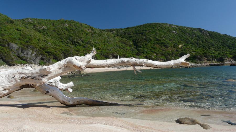 Corsica Island TK/F4CZU DX News  Corsica Island TK/F4CZU DX News